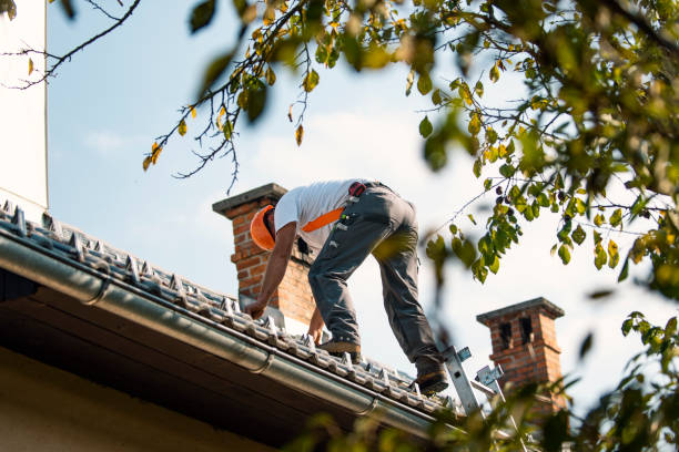 Best Emergency Roof Repair  in Woodlawn Beach, FL