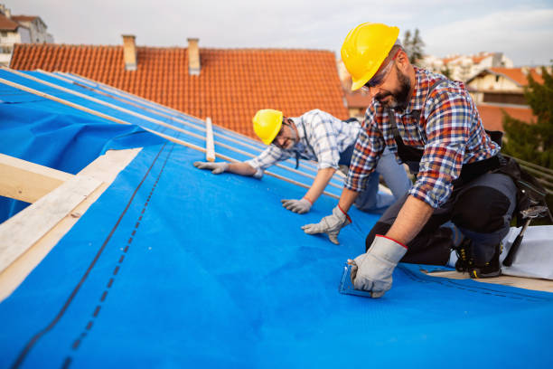 Best Metal Roofing Contractor  in Woodlawn Beach, FL