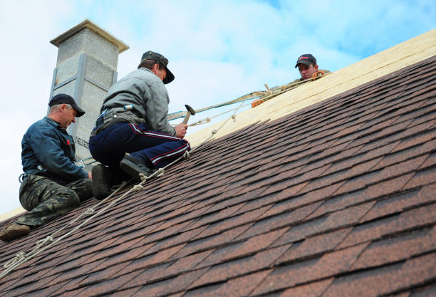 Quick and Trustworthy Emergency Roof Repair Services in Woodlawn Beach, FL
