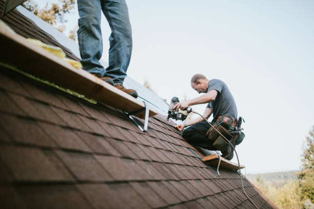 Best Flat Roof Repair Services  in Woodlawn Beach, FL